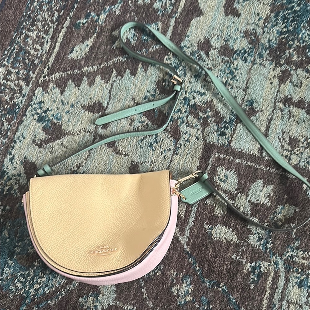 Coach Ellen Crossbody Colorblock
